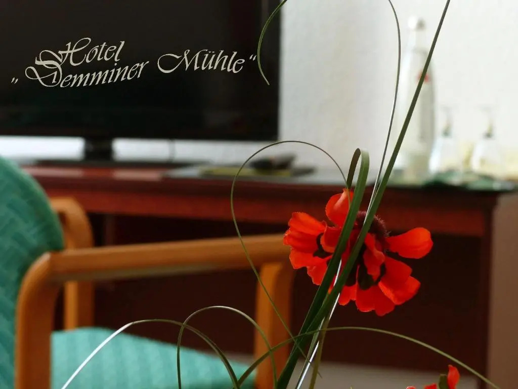 Hotel Demminer Mühle - Chambres