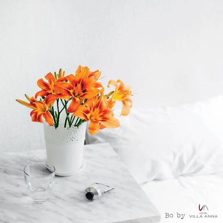 Hotel Villa Anna - Chambres
