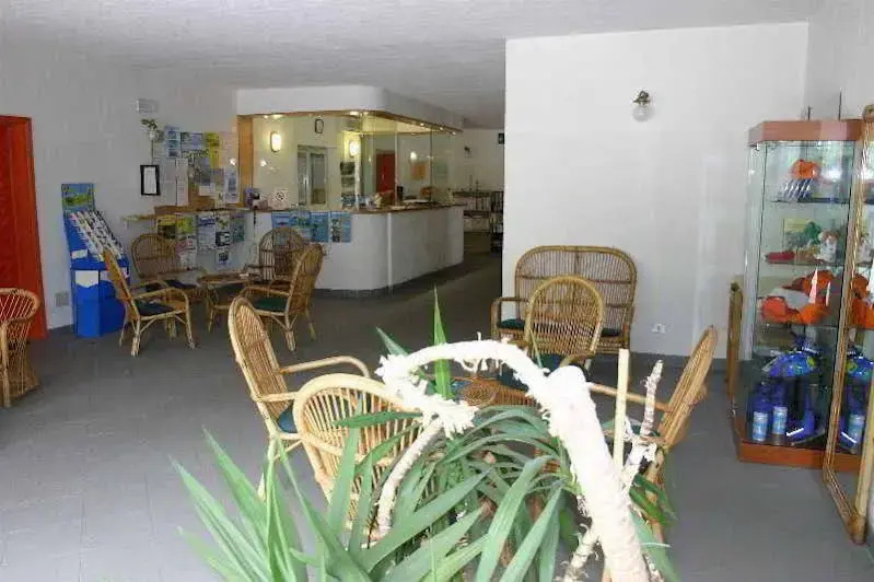 Aviotel Residence Hotel - Général