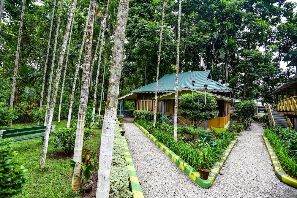 Aranya Jungle Resort - Général