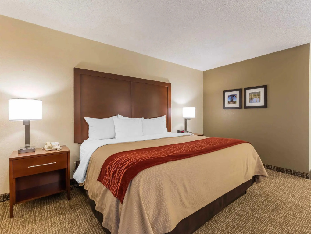 Comfort Inn & Suites Little Rock Airport - Chambres