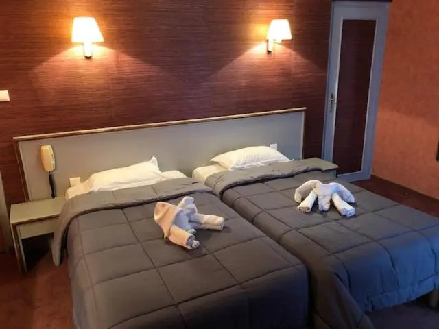 Standard Double room (twin beds)