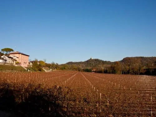 Villa Butussi
