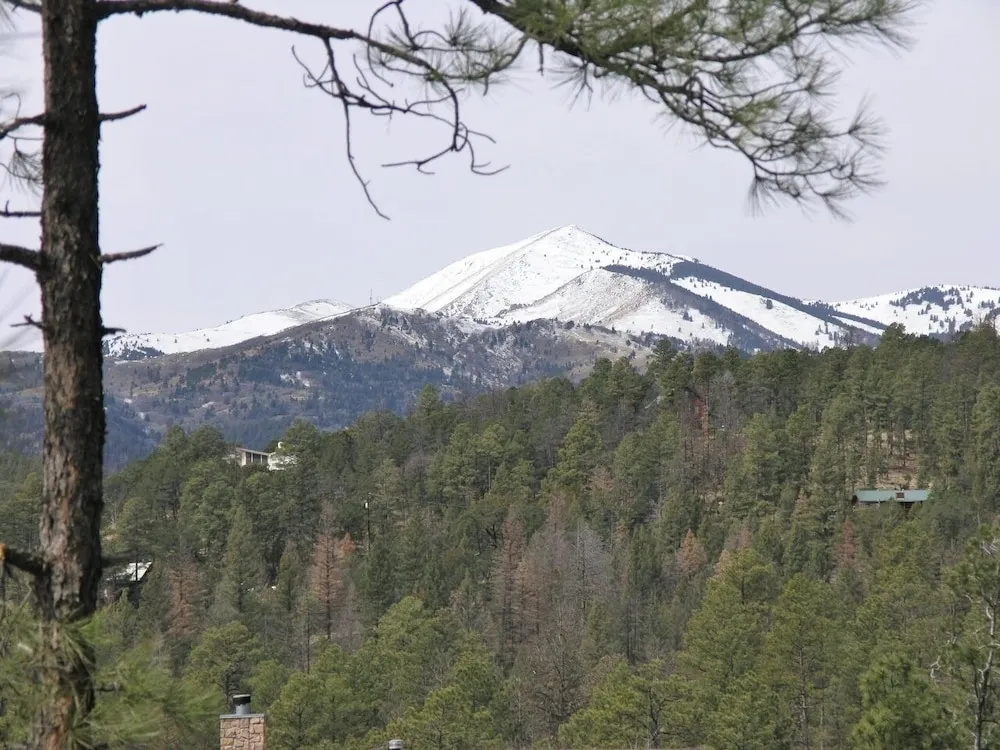 411alpinevillage100mtncb - Alpine Village Cabin #100