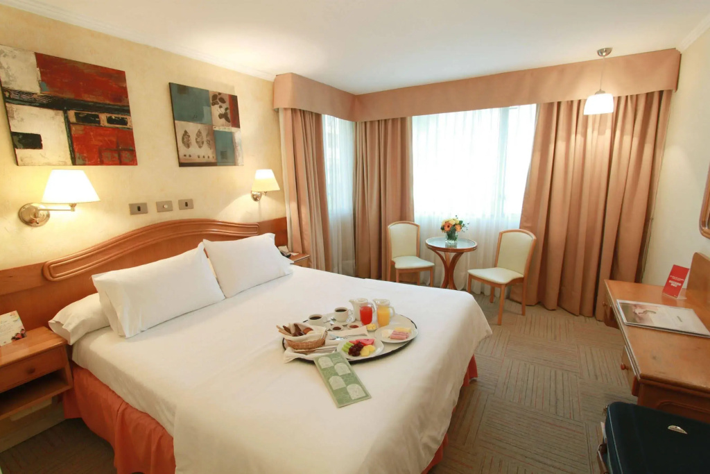 Hotel Torremayor Lyon - Général