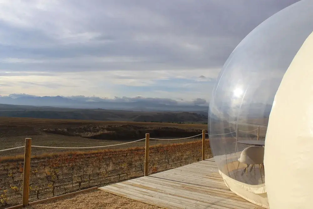 Wine Bubble