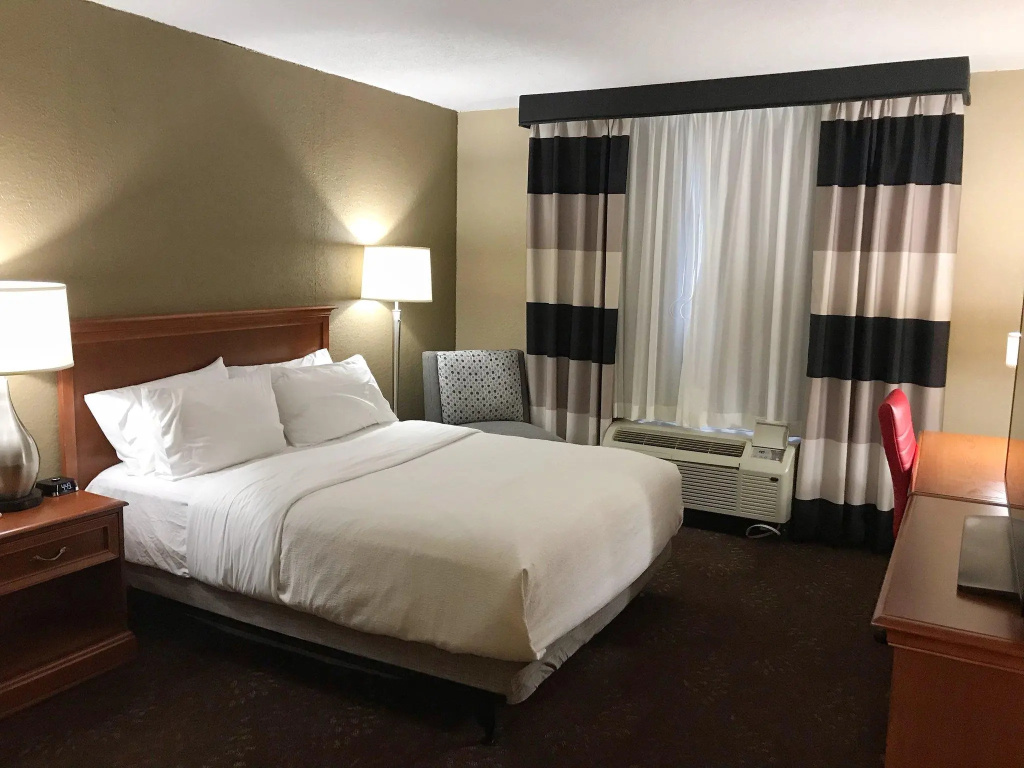 Holiday Inn Alexandria by IHG - Chambres