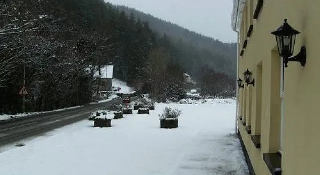 The Hollybrook Country Inn - Général