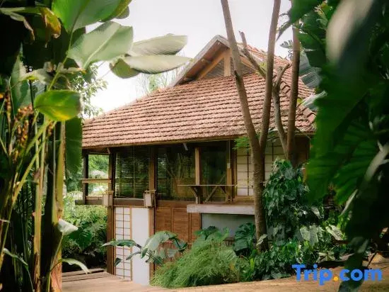 Harmony Botanical Garden Stay - 300 Plant Species, Natural Stream and Small Pool