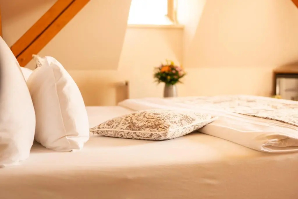Deluxe Double room (full double bed)