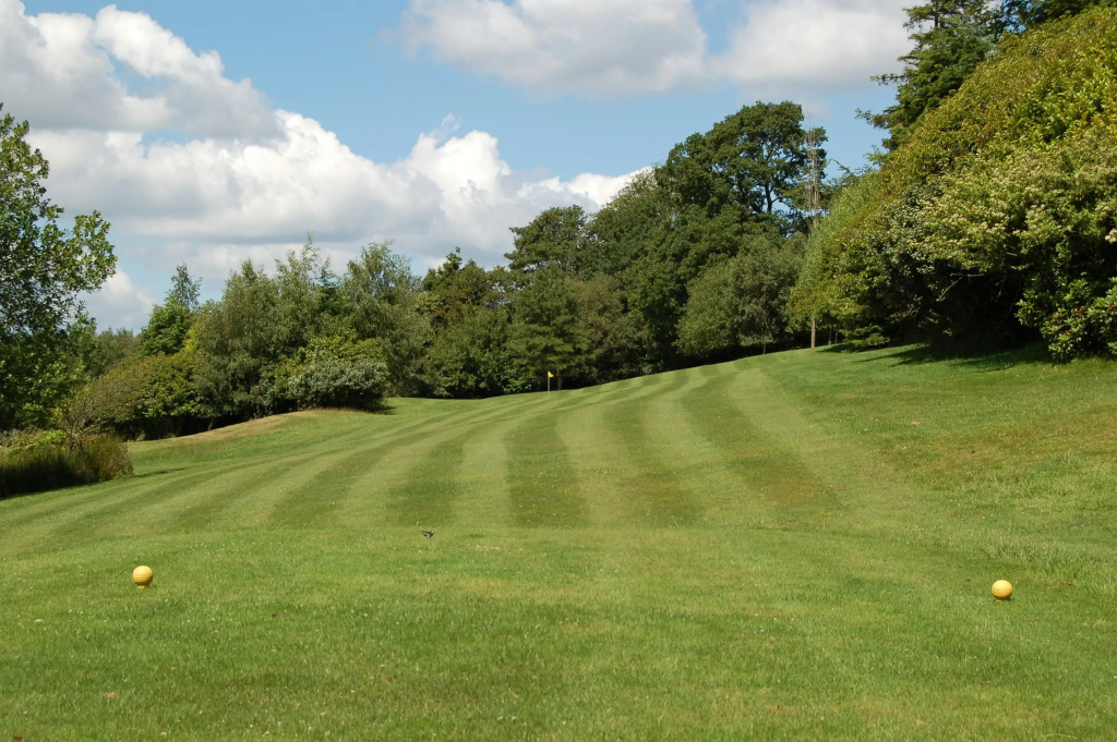 Ashdown Park Hotel & Country Club - Général
