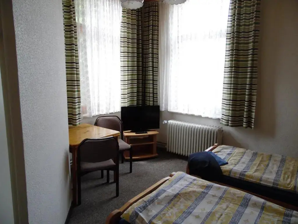 Standard Double room (full double bed)