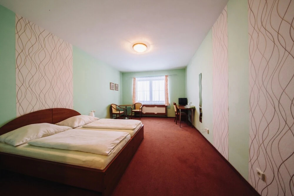 Wellness hotel Vyhlídka - Général