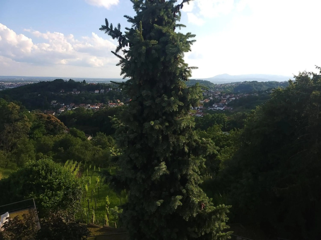 Hotel photo 48