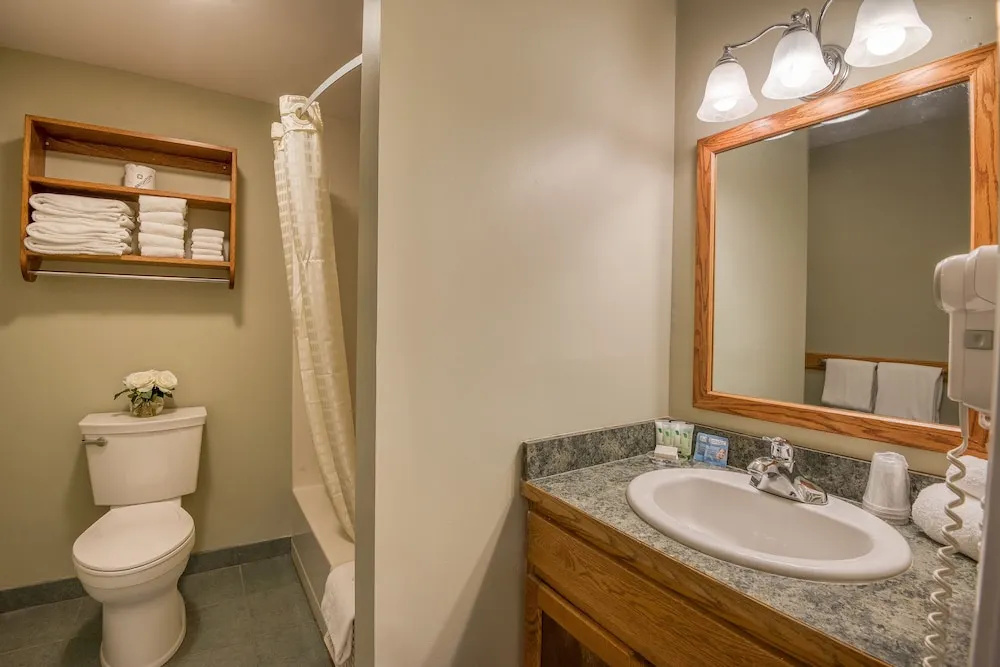 Standard Double room with lake view (full double bed)