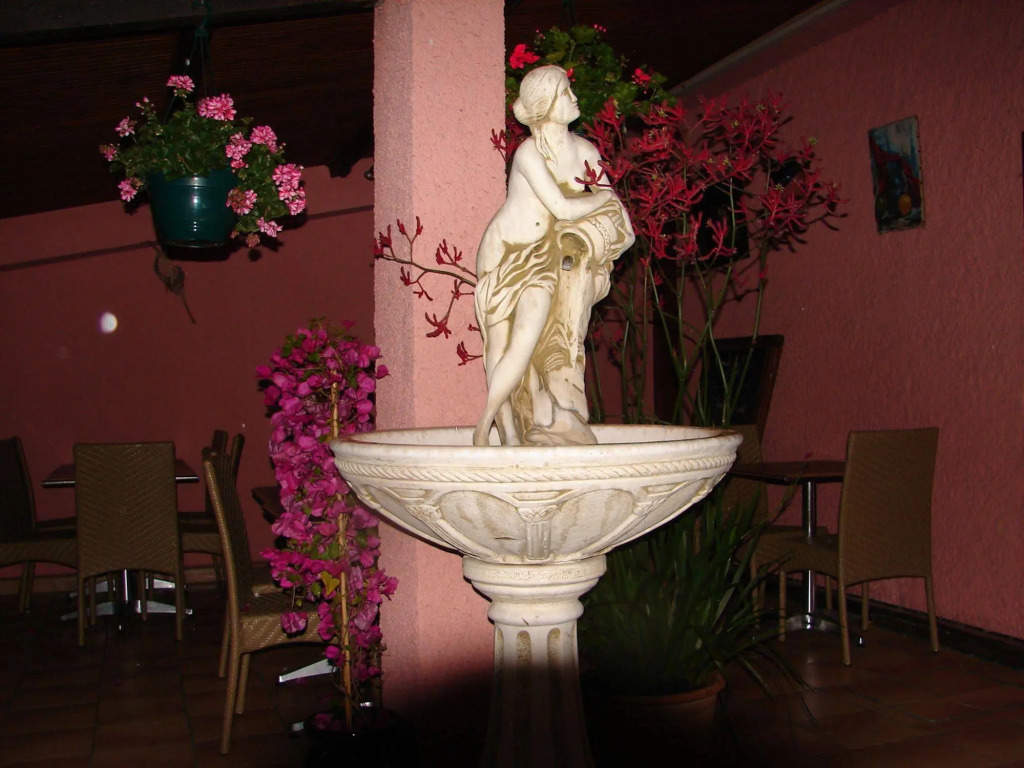 Image 22