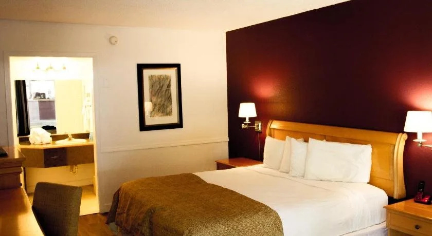 The Flamingo Resort - Adult Resort - Général