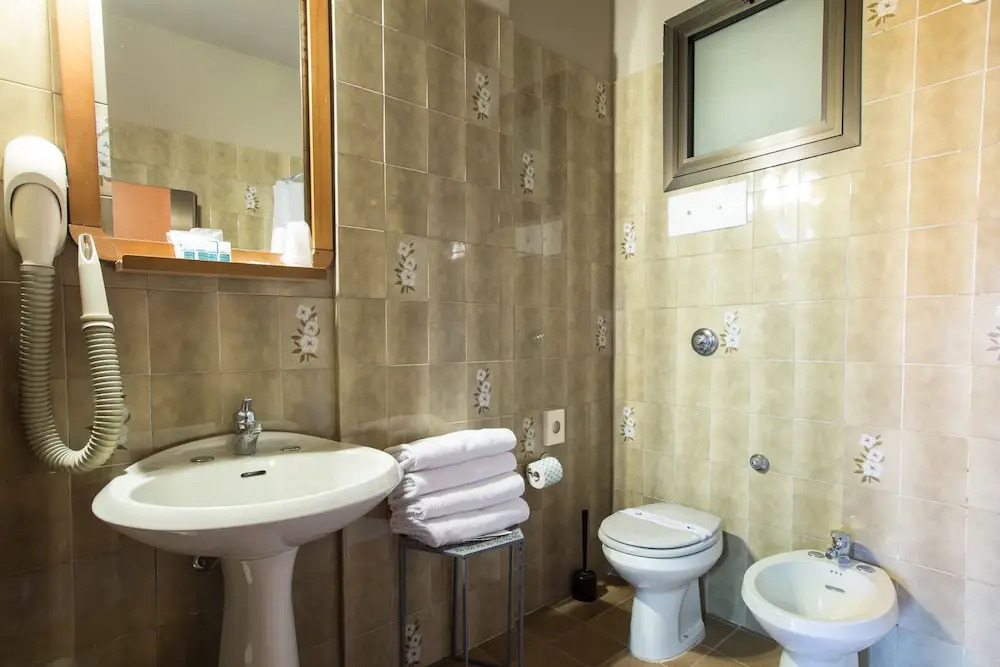 Двухместный номер Standard двуспальная кровать в Hotel Ariston