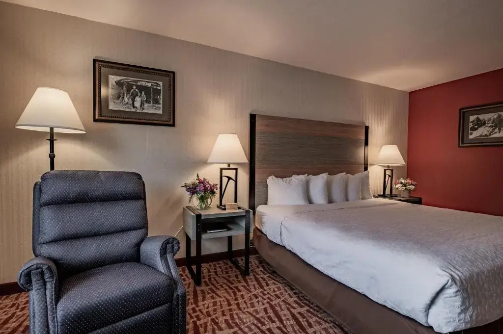 Standard Double room (full double bed)