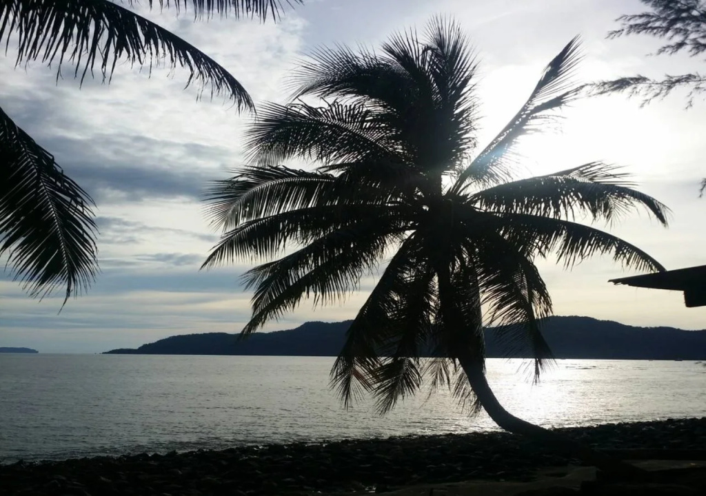 Beach & Waterfront
