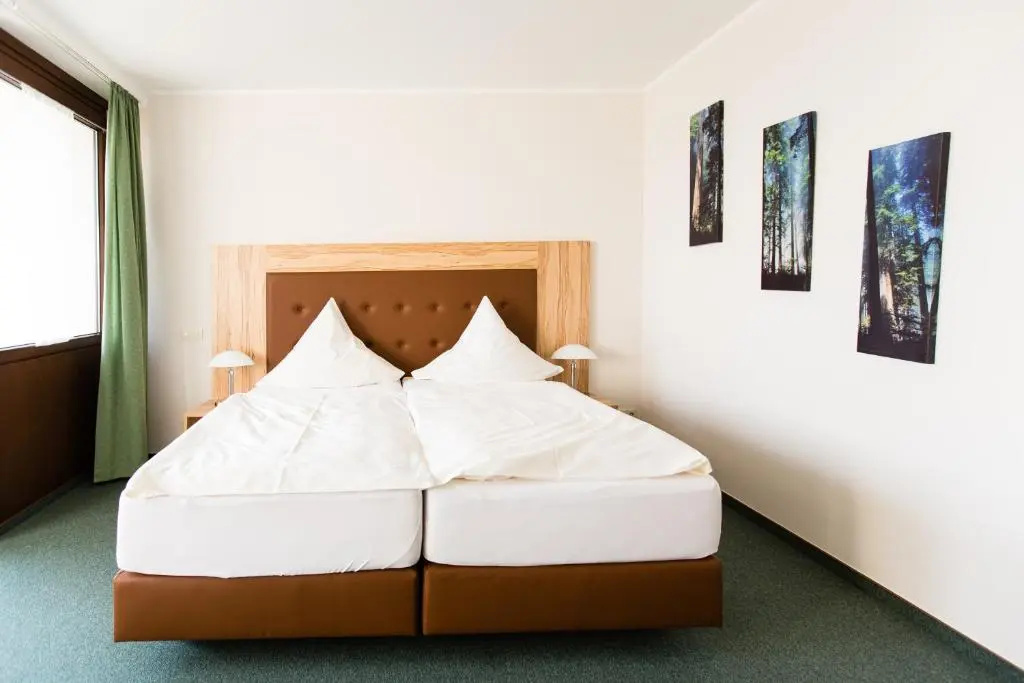 Comfort Double room (full double bed)