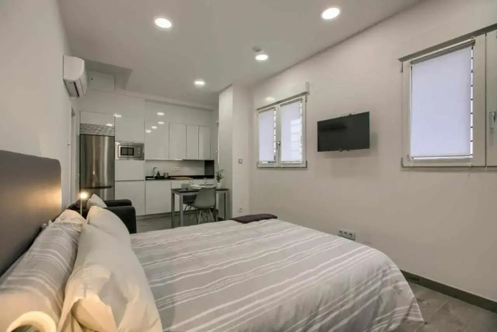 RiNa MADRID apartamento1