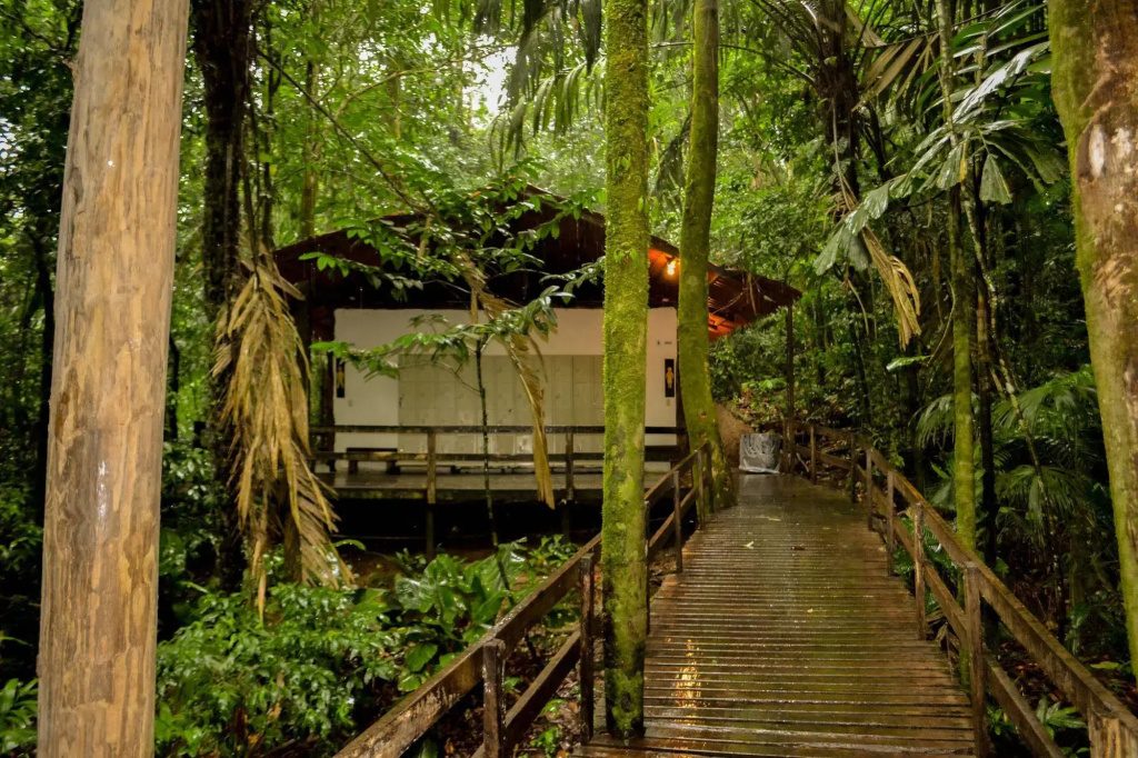 Termales del Bosque & Hot Springs - фото 47