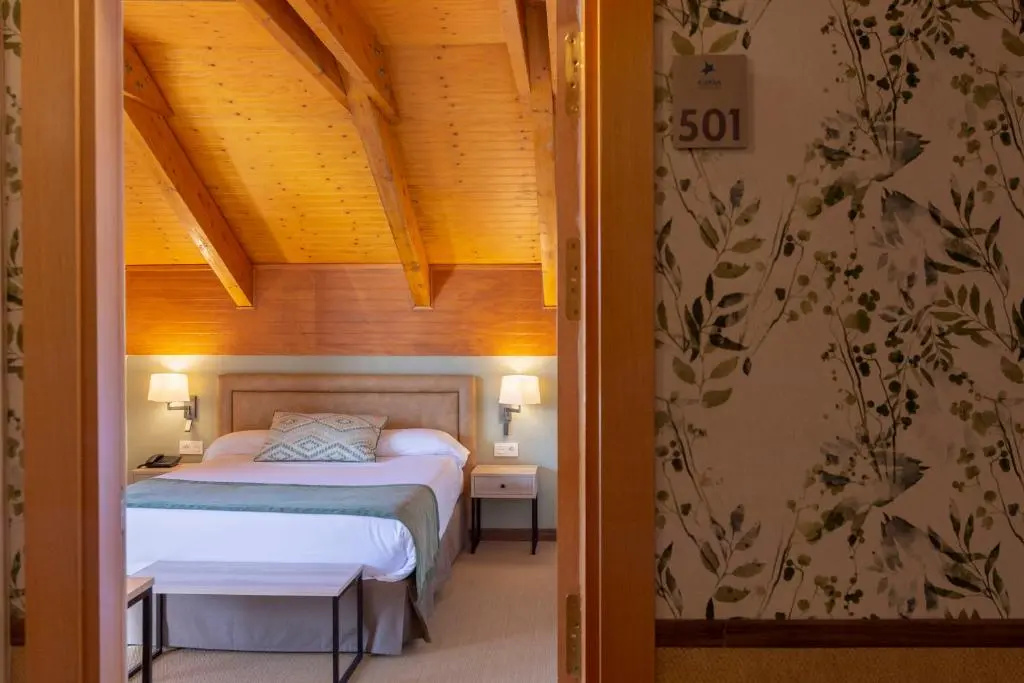 Hotel And Spa Real Jaca - Chambres