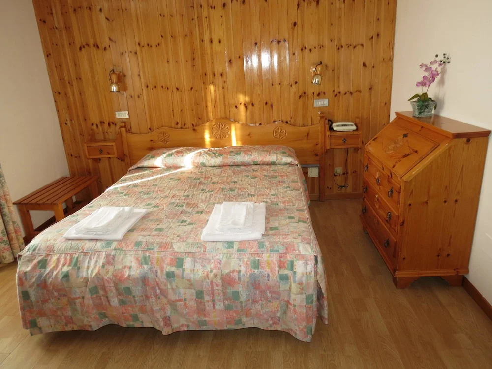 Standard Double room with mountain view (full double bed)