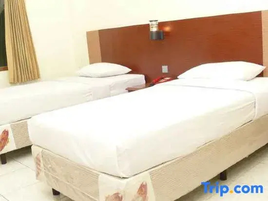 Superior Double room (twin beds)