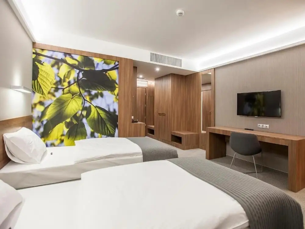 Deluxe Double room (full double bed)
