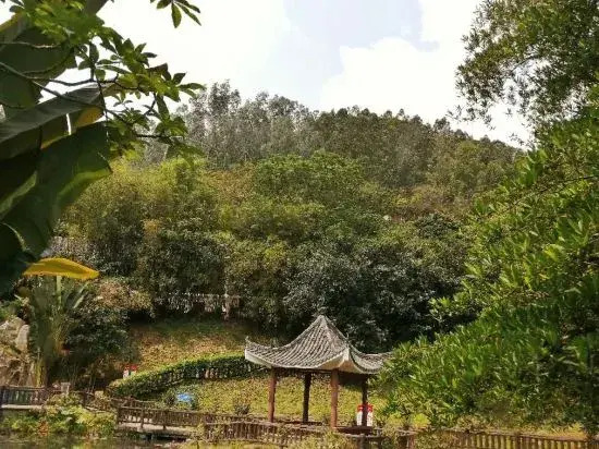 Taixin Hotel - фото 22