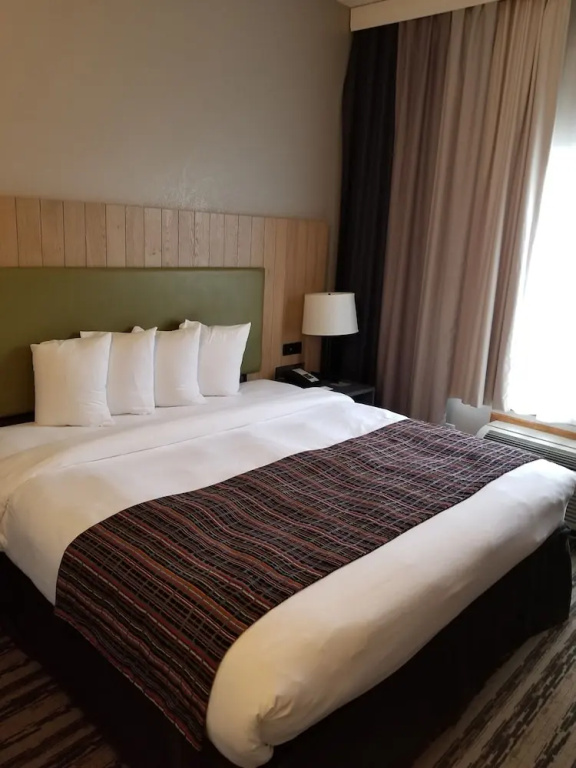 Country Inn & Suites by Radisson, Nashville Airport East, TN - Chambres