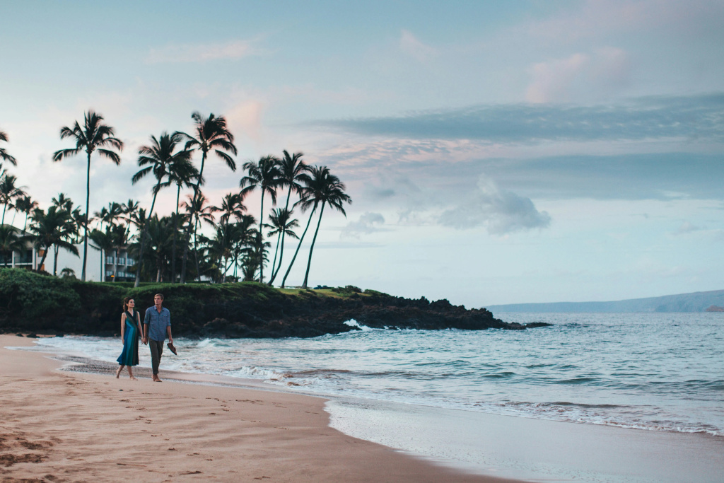 Wailea Beach Resort - Marriott, Maui - Général