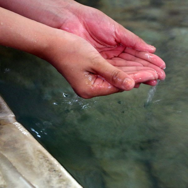 Image 15