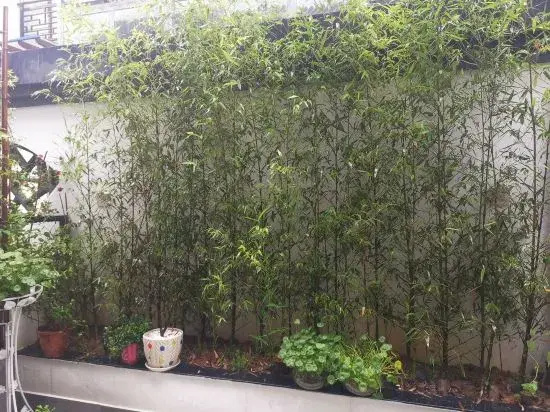 Yongzhou Xiaoxiang Xuyuan Homestay