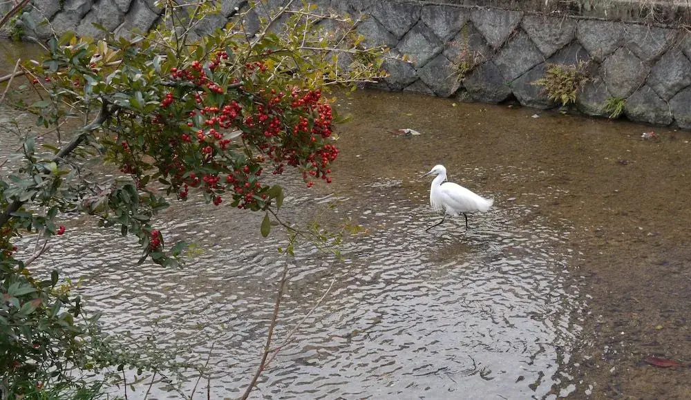 Canal House Takasegawa 사진 13