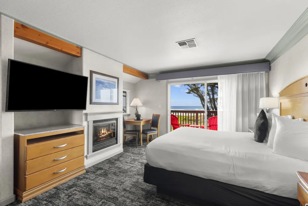 Standard room with balcony and with ocean view