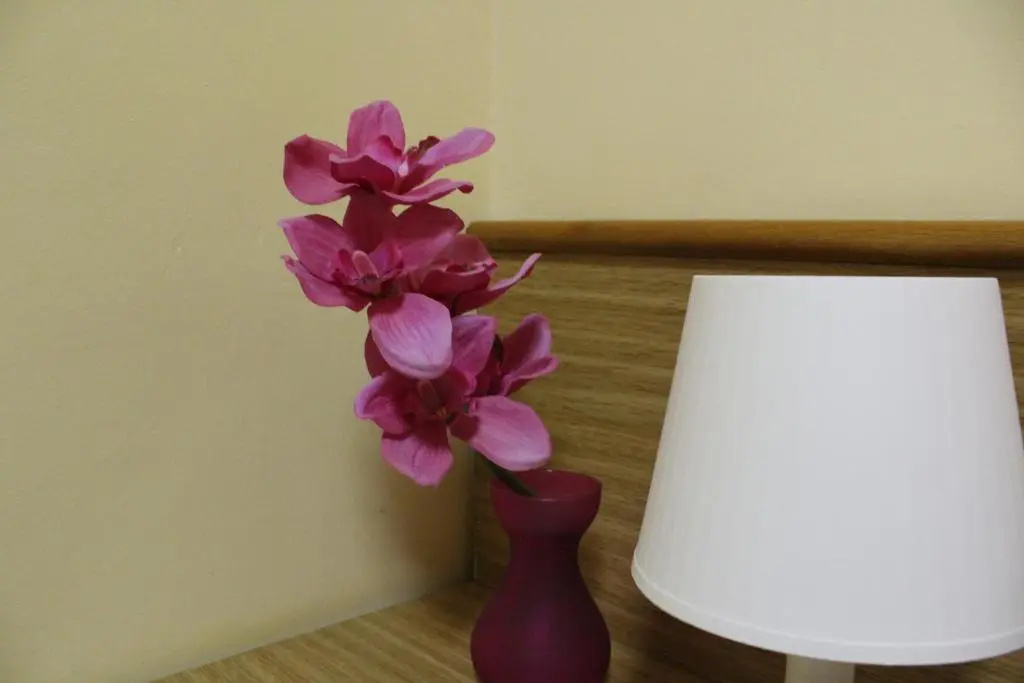 Hotel Diana - Chambres