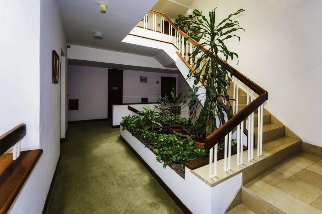 Aparthotel Imperatriz - Général