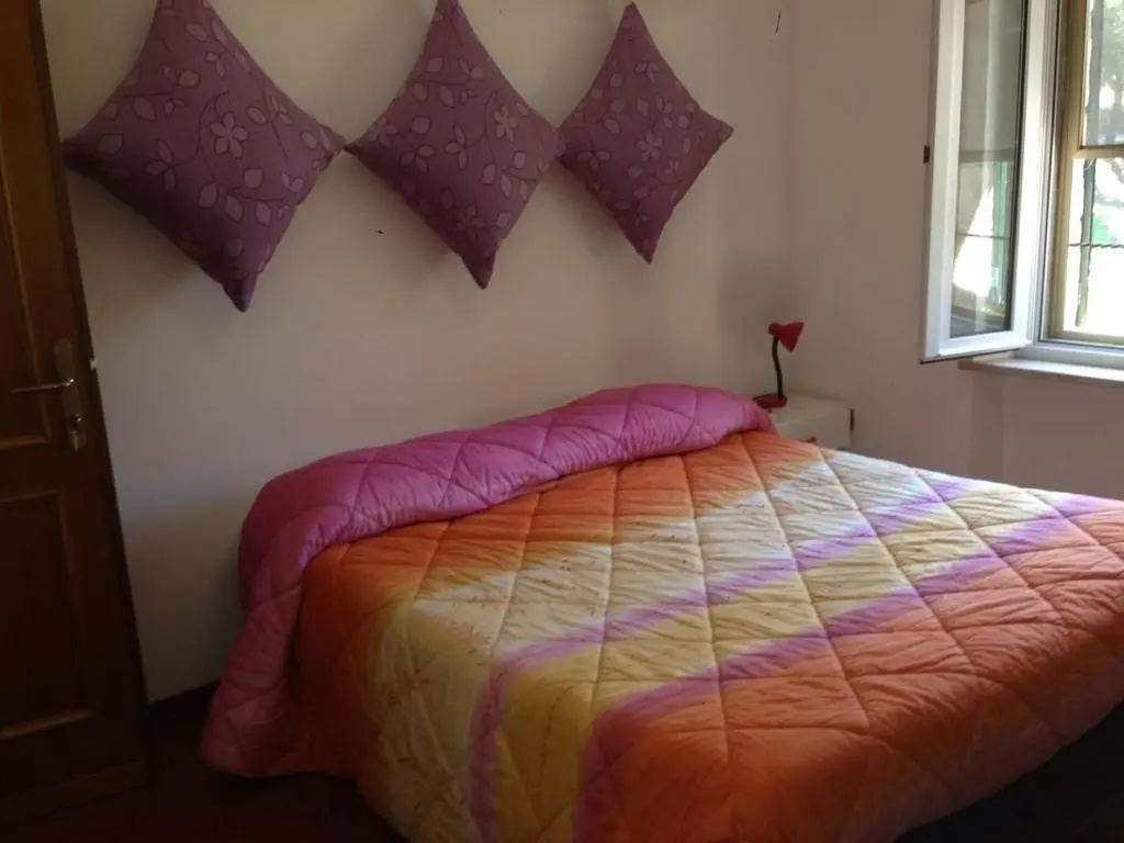 Basement Apartment