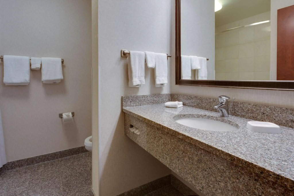 Drury Inn & Suites Baton Rouge - Général