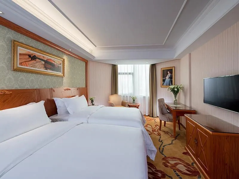 Vienna Hotel Mix City - Général
