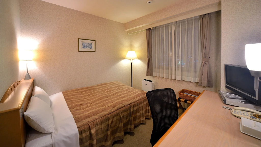 Standard Double room (full double bed)