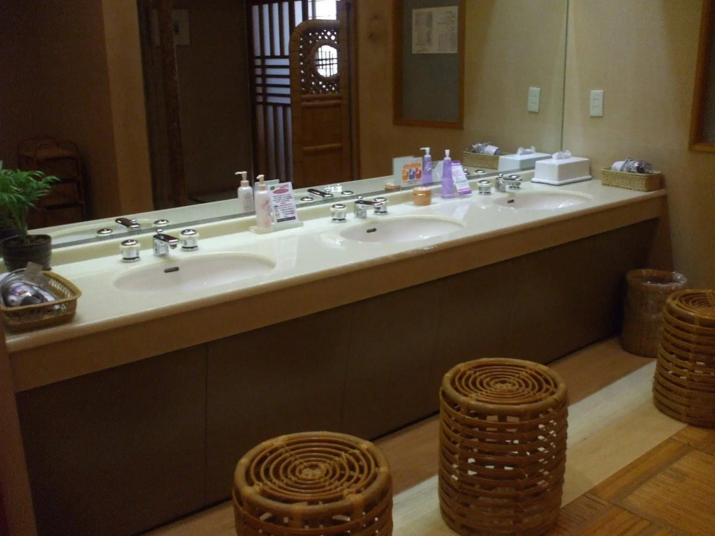 Ryokan Kamiaizuya - Général