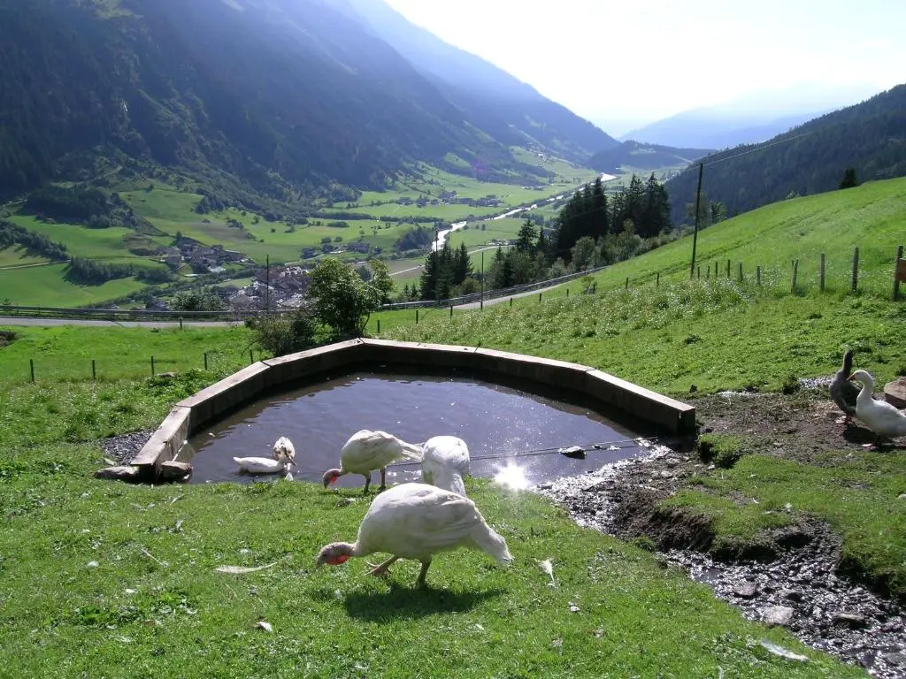 Joglerhof