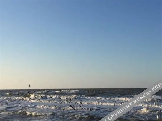 Beach & Waterfront