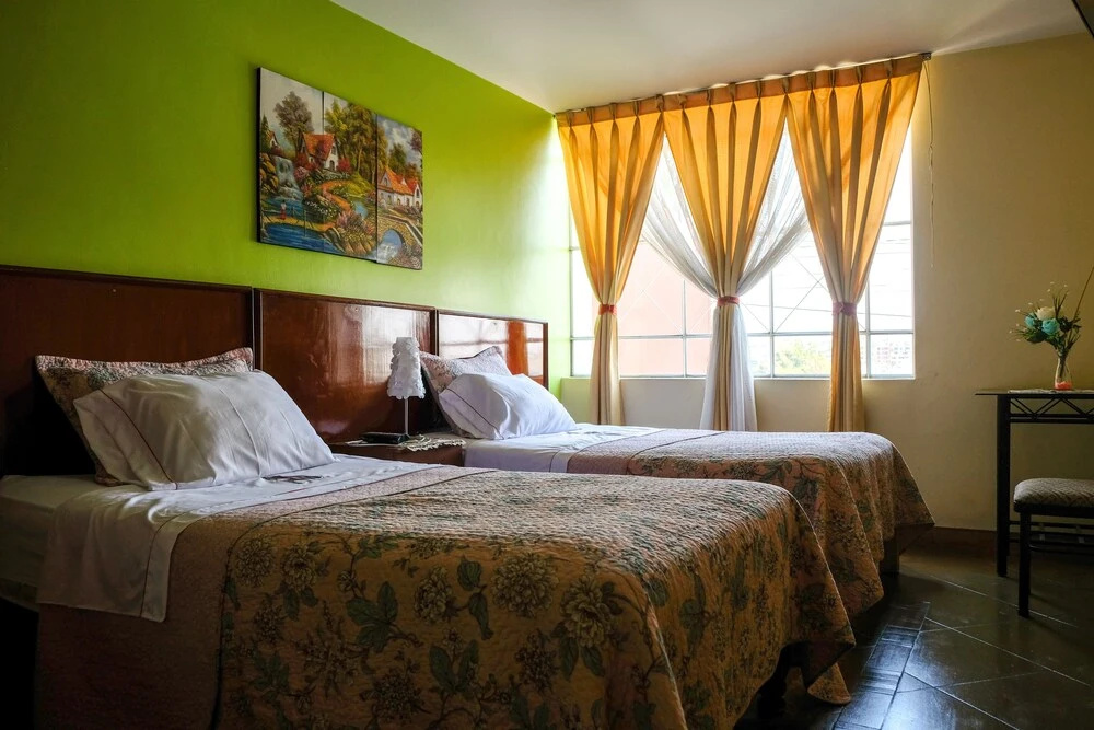 Standard Double room with city view (twin beds)