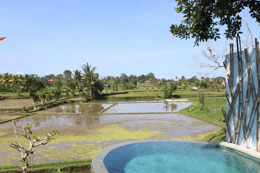 Ubud Padi Villas - Général