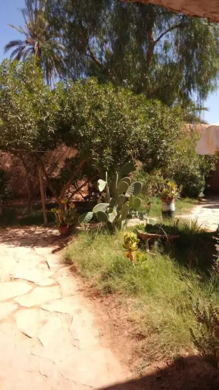 La maison saharaouie - Général
